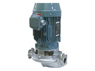 SLP2-25-6.15 teral watted part stainless steel 2poles motor type line pump